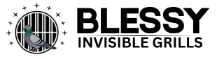 Blessy Invisible Safety Nets Logo
